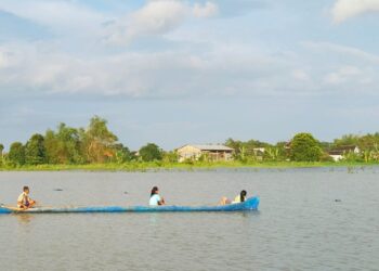 Puluhan Hektare Sawah di Banjarsari Pati Kebanjiran, Kerugian Capai Rp100 Juta