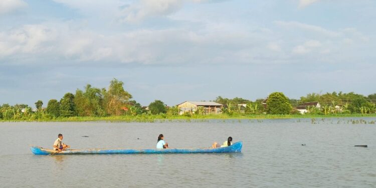 Puluhan Hektare Sawah di Banjarsari Pati Kebanjiran, Kerugian Capai Rp100 Juta