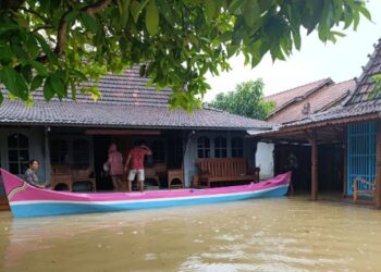 Warga Mintobasuki Pati Terpaksa Berkarib dengan Banjir Tahunan