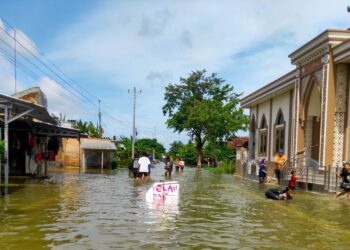 Kerugian Akibat Bencana di Pati Ditaksir Capai Rp637,5 Miliar