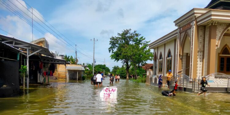 Kerugian Akibat Bencana di Pati Ditaksir Capai Rp637,5 Miliar