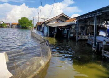 100 Ha Tambak di Tunggulsari Pati Terendam Banjir, Kerugian Capai Rp5 M