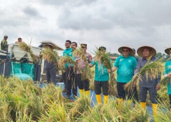 Plt Bupati Pati Risma Ardhi Chandra panen raya di Gabus
