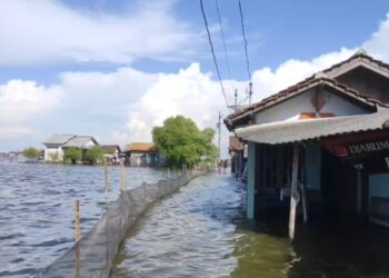 Banjir dan Rob Menyatu, Genangan di Tunggulsari Pati Sulit Surut