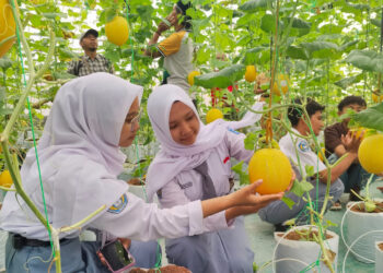 Bupati Sam’ani Pimpin Aksi Bersih Sampah Serentak, Wujudkan Kudus Asri