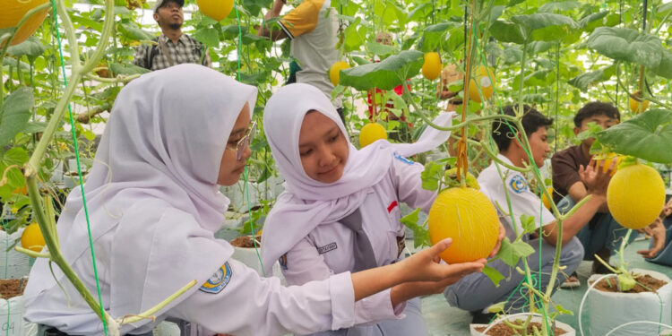 Bupati Sam’ani Pimpin Aksi Bersih Sampah Serentak, Wujudkan Kudus Asri