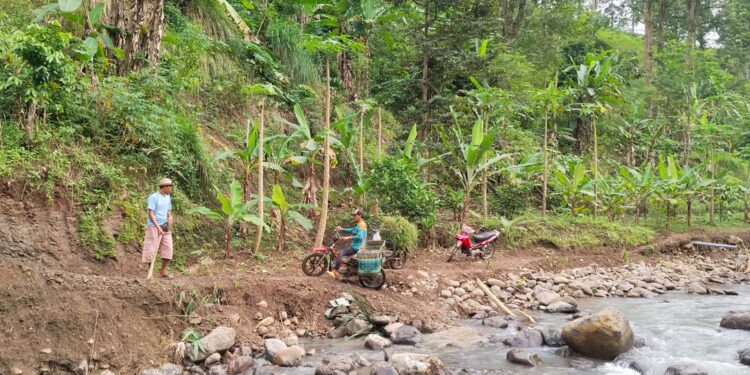 Cerita Bidan Klumpit Pati Nekat Terjang Sungai Karena Jembatan Putus, Pernah Jatuh