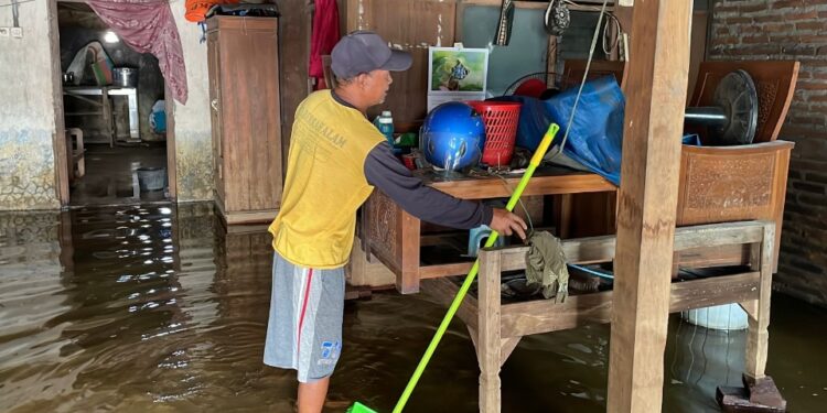 Baru Sehari Bersih-Bersih, Rumah Warga Mintobasuki Pati Kembali Kebanjiran