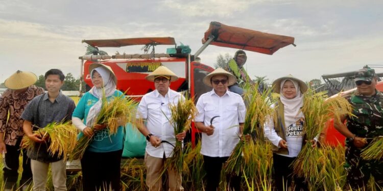 Dulu 5 Ton Kini 10 Ton per Hektare, Program Pemkab Pati Diklaim Sukses di Bumiharjo