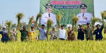 Bulog Akan Bangun Silo Modern Berkapasitas 9.000 Ton di Rembang