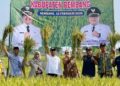Efek Alsintan Modern, Petani Mojorembun Rembang Untung Rp30 Juta per Hektare