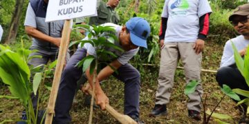 Peringati HPN 2025, PWI dan Bupati Kudus Hijaukan Lereng Muria