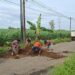 Jengkel Tak Diperbaiki, Warga Wonorejo Pati Tanam Pisang di Jalan Rusak
