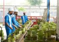 Awal Ramadan LPG Langka, Pati Dapat Tambahan 66.000 Tabung