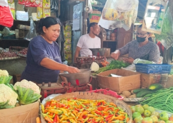 Harga Cabai dan Telur Naik saat Ramadan, Disdagperin Pati: Masih Normal