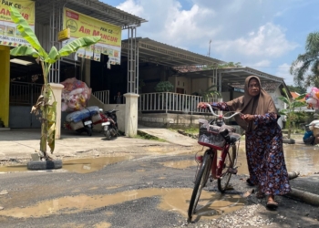 Protes Jalan Rusak Tak Diperbaiki, Warga Kayen Pati Tanami Pohon Pisang