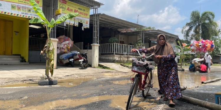Protes Jalan Rusak Tak Diperbaiki, Warga Kayen Pati Tanami Pohon Pisang