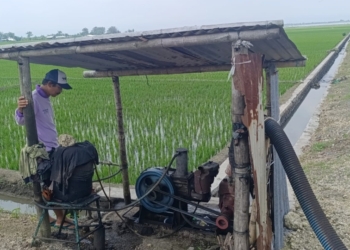 Petani Pati Resah Wacana Pembatasan BBM Imbas Perang Iran Vs As-Israel