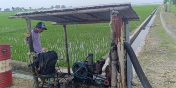 Petani Pati Resah Wacana Pembatasan BBM Imbas Perang Iran Vs As-Israel