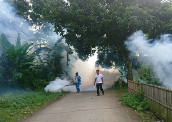Waspada! 20 Warga Pati Terjangkit Chikungunya, Tersebar di 4 Kecamatan