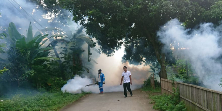 Waspada! 20 Warga Pati Terjangkit Chikungunya, Tersebar di 4 Kecamatan