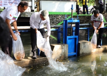 Saluran Air Depan Dispertan Kudus Disulap Jadi Kolam Ikan, Jadi Spot Mancing Baru!