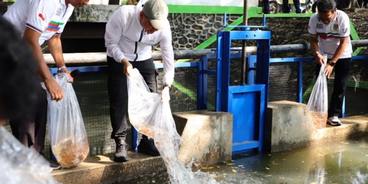 Saluran Air Depan Dispertan Kudus Disulap Jadi Kolam Ikan, Jadi Spot Mancing Baru!