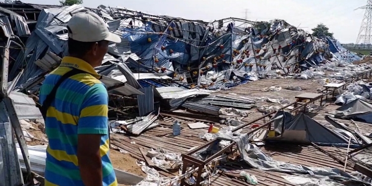 Diterjang Angin Kencang, 4 Kandang Ayam di Gadudero Pati Roboh, Kerugian Ditaksir Rp5 M