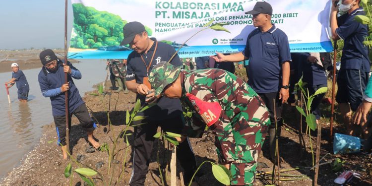 Cegah Abrasi, MAN 2 Pati Bersama PT Misaja Mitra Tanam 2.000 Mangrove di Pesisir Tayu