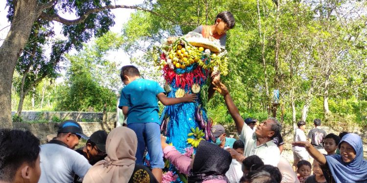 Puluhan Warga Berebut Keberkahan Gunungan Sedekah Bumi di Ketitangwetan Pati