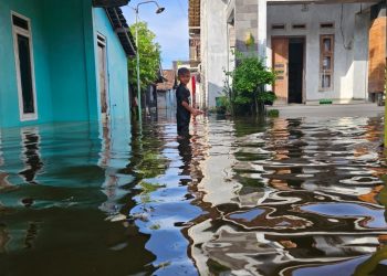 Dihujani Semalaman, 9 Desa di 4 Kecamatan di Pati Dilanda Banjir