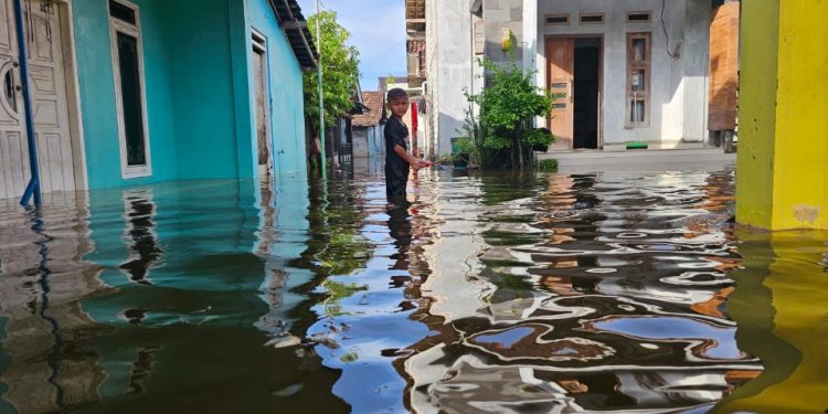 Dihujani Semalaman, 9 Desa di 4 Kecamatan di Pati Dilanda Banjir
