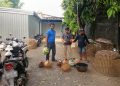 Polsek Bae Gerebek Arena Sabung Ayam di Kudus, Pelaku Kocar-kacir ke Kebun Teb