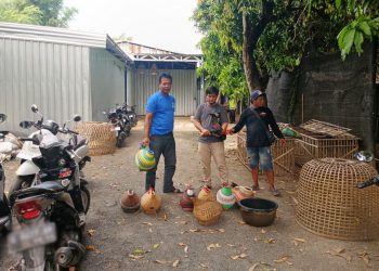 Polsek Bae Gerebek Arena Sabung Ayam di Kudus, Pelaku Kocar-kacir ke Kebun Teb