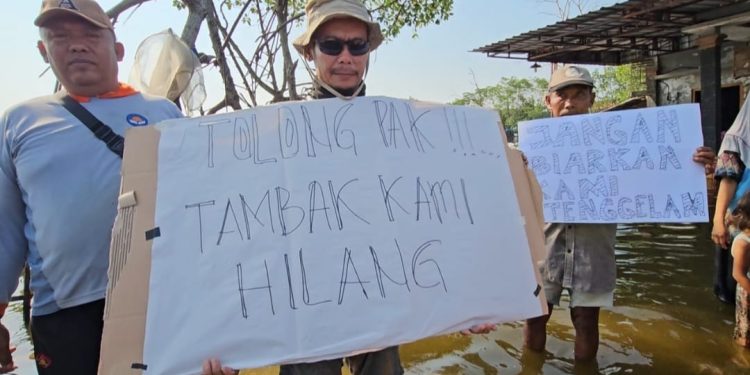 Tambak Digulung Rob Tunggulsari Pati, Junaidi Stres Sampai Masuk RS