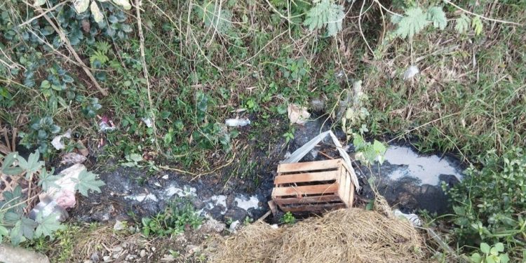 Sungai Santren Dicemari Limbah, Tim Gabungan Buru Pelaku