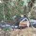 Sungai Santren Dicemari Limbah, Tim Gabungan Buru Pelaku