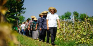 Sukses Panen Melon, Desa Tegalombo Pati Jadi Proyek Pertanian Modern
