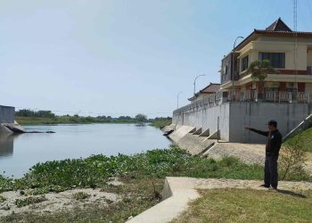 Bendung Karet Bocor Lagi, Ribuan Hektare Sawah di Pati Terancam Kekeringan
