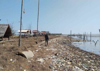 Miris, Puluhan Ton Limbah Tapioka-Sampah Penuhi Pantai Bulumanis Kidul Pati