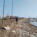 Miris, Puluhan Ton Limbah Tapioka-Sampah Penuhi Pantai Bulumanis Kidul Pati
