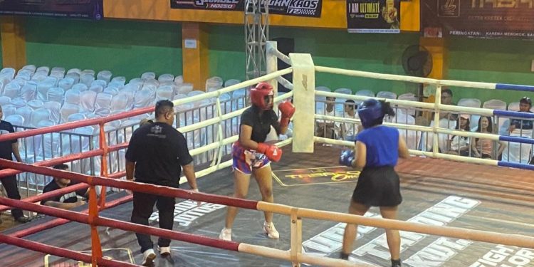 Dari Buruh Pabrik hingga Influencer, Ratusan Petarung Unjuk Gigi di Kudus