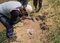 Cari Rumput, Warga Malah Temukan Fosil Hewan Purba di Tepi Kali Piji Kudus