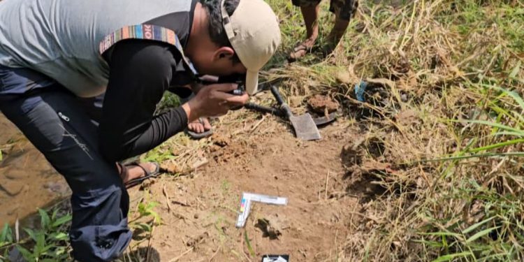 Cari Rumput, Warga Malah Temukan Fosil Hewan Purba di Tepi Kali Piji Kudus