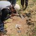 Cari Rumput, Warga Malah Temukan Fosil Hewan Purba di Tepi Kali Piji Kudus