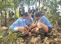 Jaga Laut, Seakeeper dan Ratusan Siswa Kanisius Hijaukan Pesisir Pati