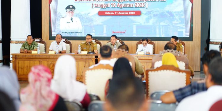 Buntut Didemo, Pemkab Pati Wajibkan SPPG Beli Telur Peternak Lokal Rp26 Ribu Sekilo