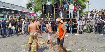 Harga Anjlok, Peternak Pati Nekad Mandi Telur hingga Makan Ayam Hidup-Hidup