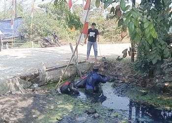 Aksi Refleks Rozi Pilih Masuk Parit Demi Hindari Pemotor Jatuh di Pantura Demak