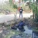 Aksi Refleks Rozi Pilih Masuk Parit Demi Hindari Pemotor Jatuh di Pantura Demak